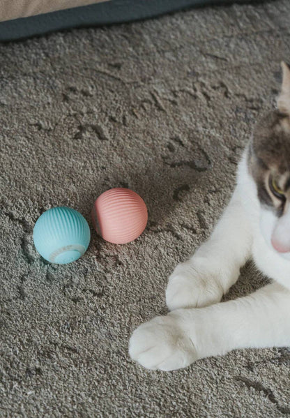 Balle interactive bleu ciel pour chats