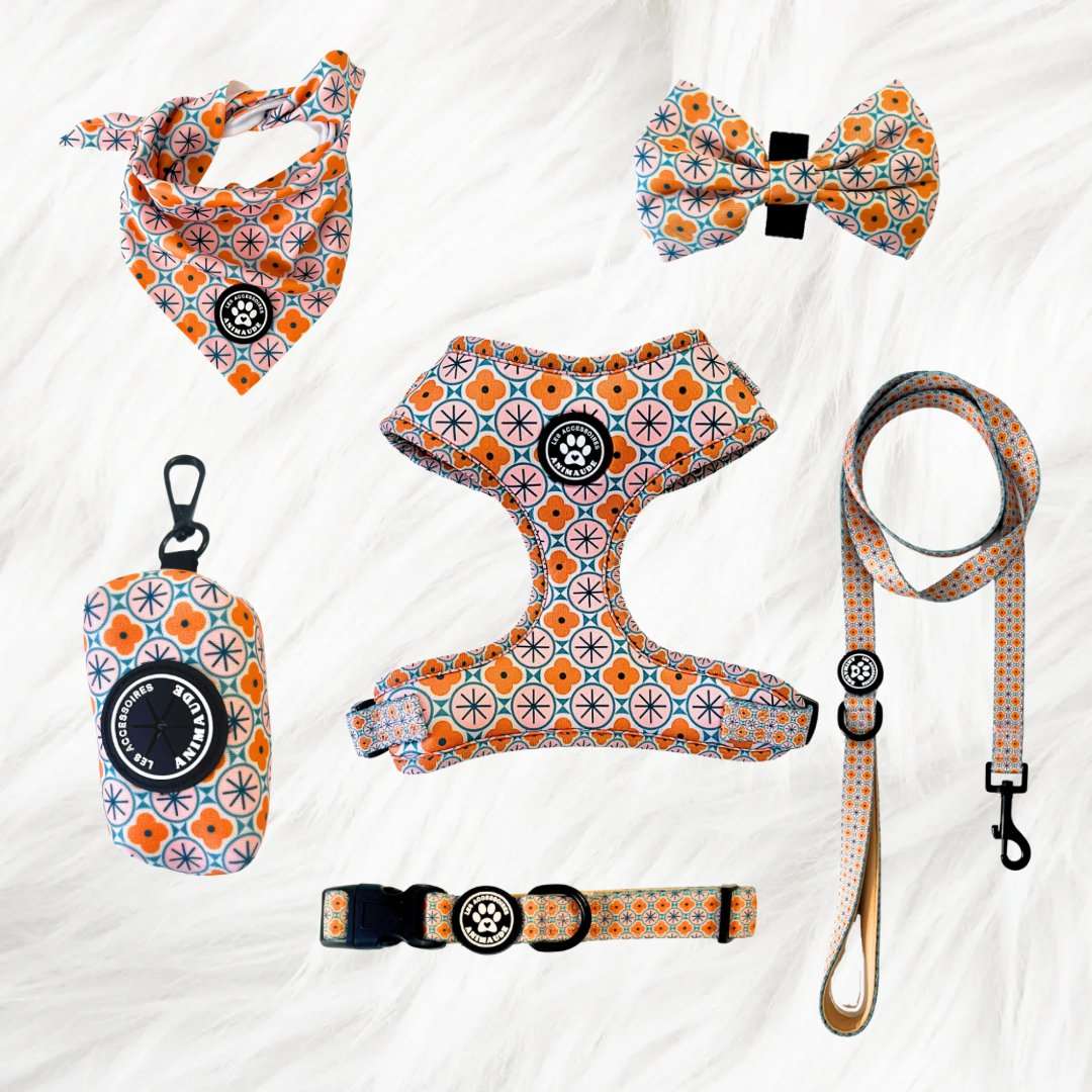 Ensemble Orangé
