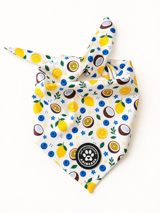 Bandana Fraicheur