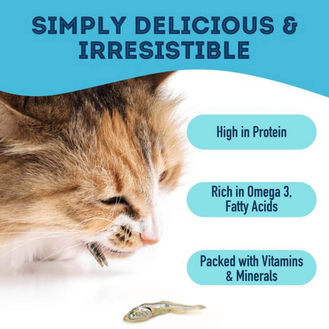 Friandises déshydratées aux sardines pour animaux de compagnie : riches en protéines et naturelles 90 g