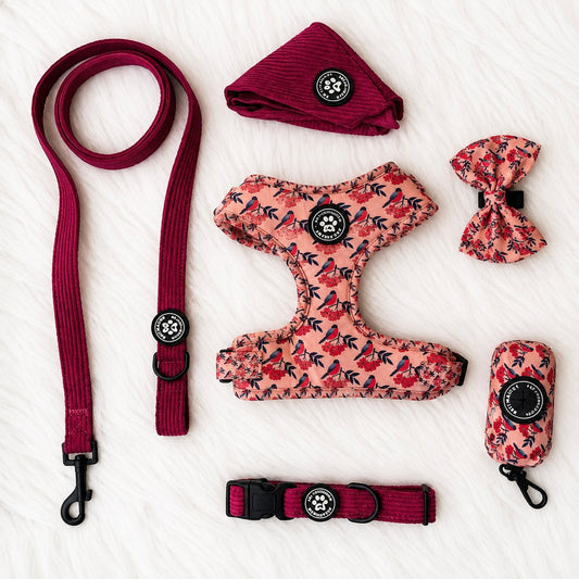 Ensemble Rouge Passion