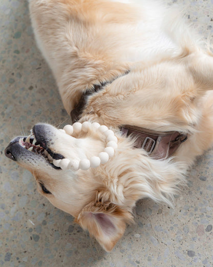Anneau de dentition agressif nu