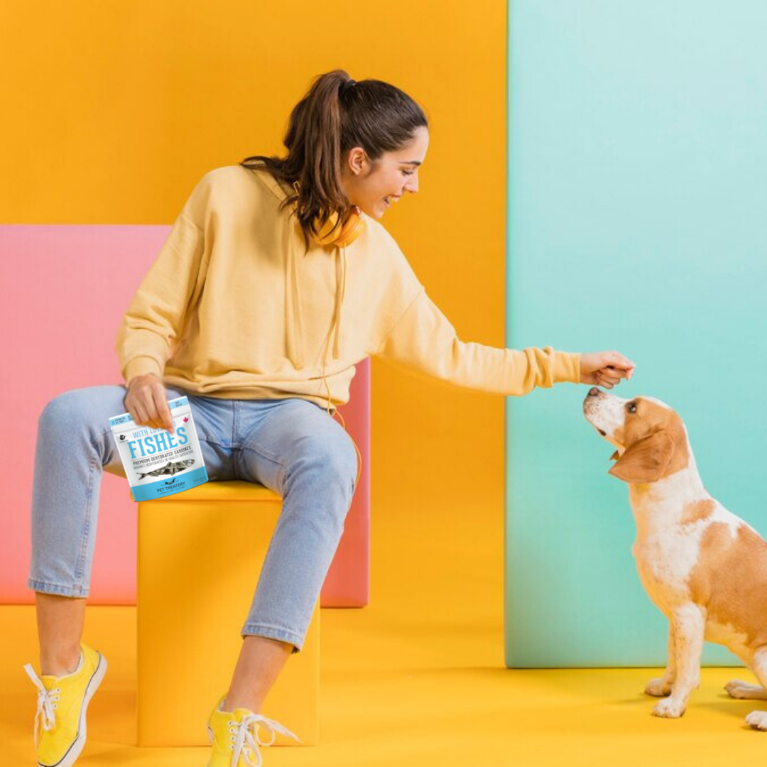 Friandises déshydratées aux sardines pour animaux de compagnie : riches en protéines et naturelles 90 g