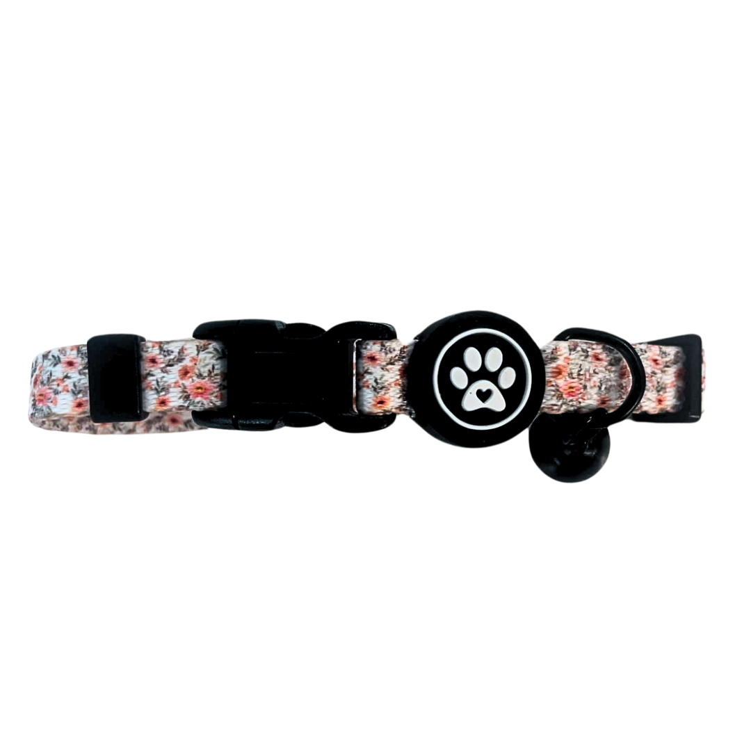 Pack of cat collars