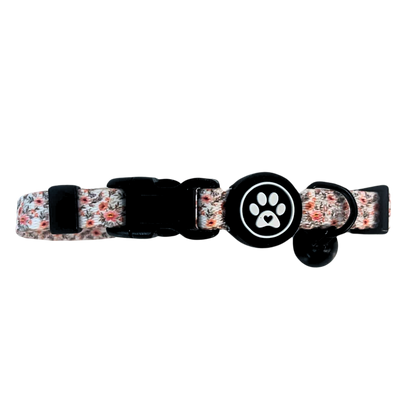 Pack of cat collars