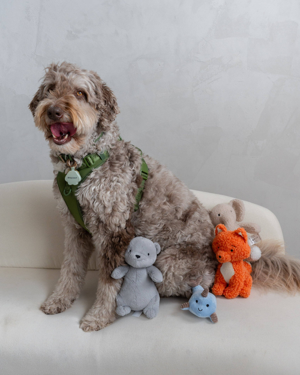 Peluche renard pour chiens