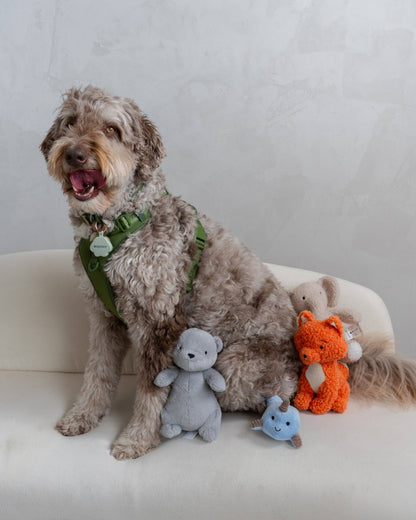 Peluche renard pour chiens