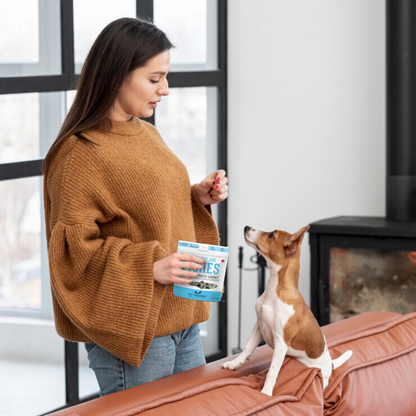 Friandises déshydratées aux sardines pour animaux de compagnie : riches en protéines et naturelles 90 g