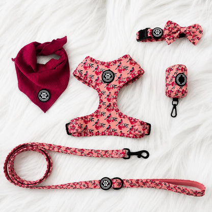 Ensemble Rouge-Gorge