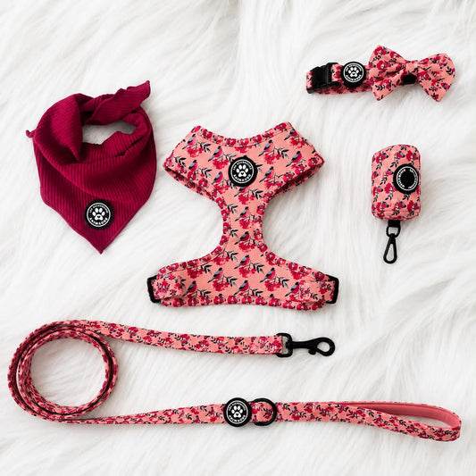 Ensemble Rouge-Gorge