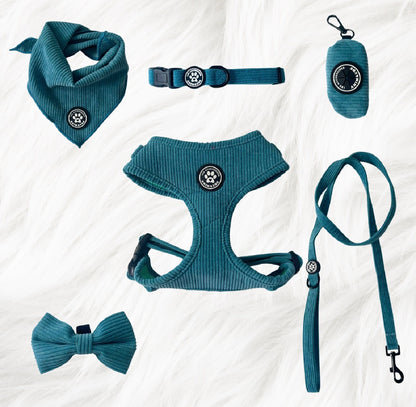 Ensemble Cyan