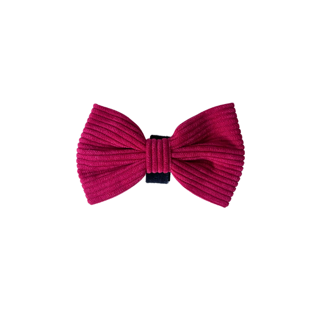 magenta corduroy buckle