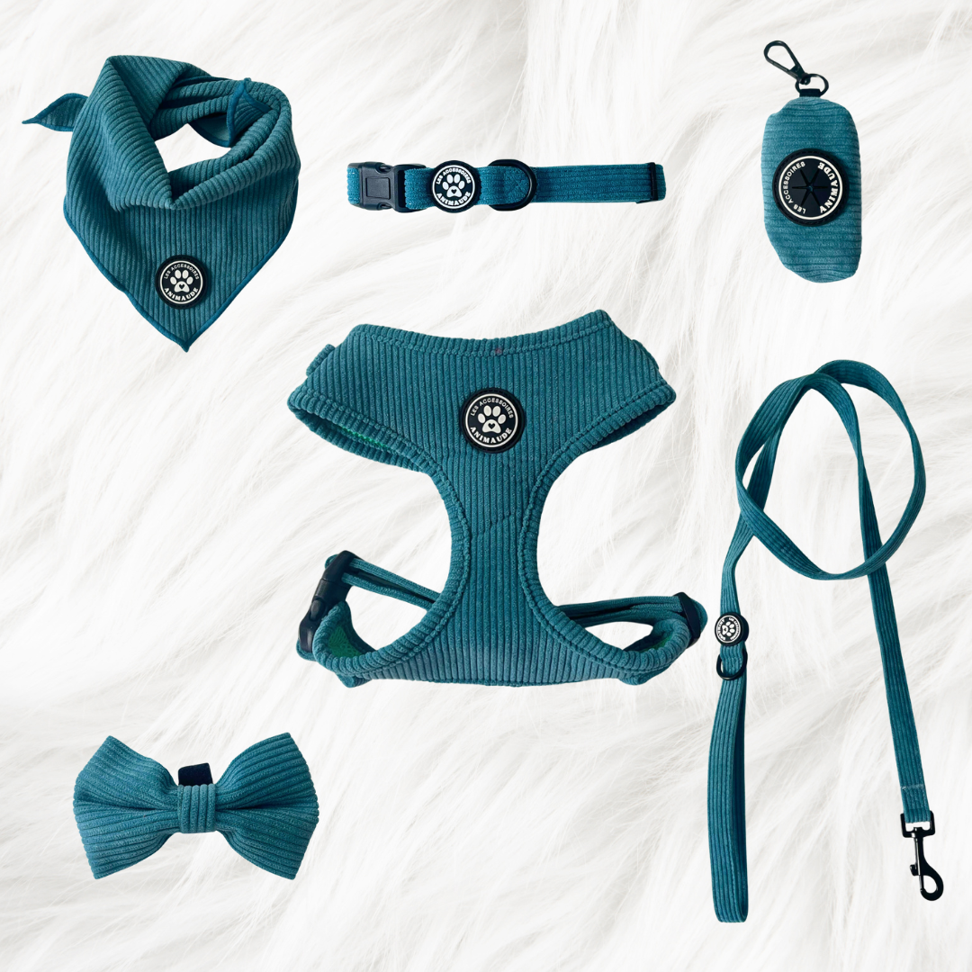 Ensemble Cyan