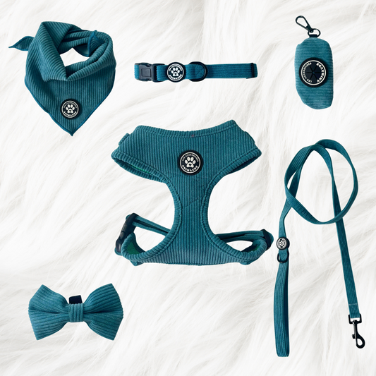 Ensemble Cyan