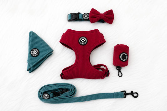 Ensemble Match rouge