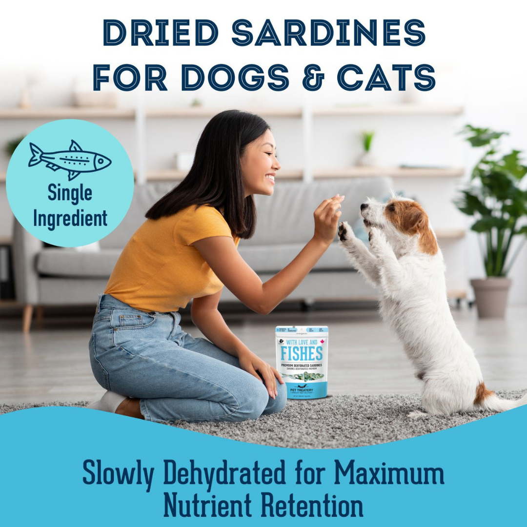 Friandises déshydratées aux sardines pour animaux de compagnie : riches en protéines et naturelles 90 g