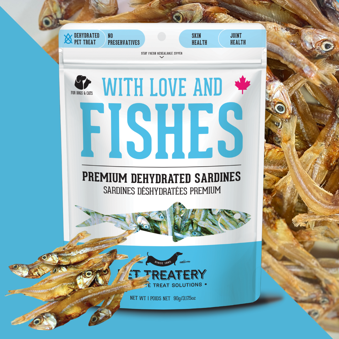Friandises déshydratées aux sardines pour animaux de compagnie : riches en protéines et naturelles 90 g